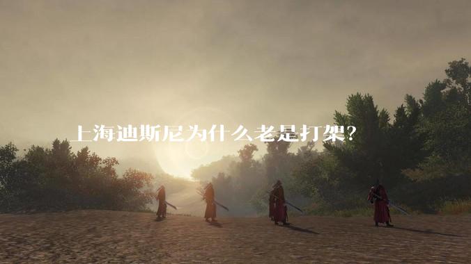 上海迪斯尼为什么老是打架？