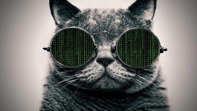 目前最流行的 rust web 框架是什么？